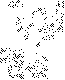 go.jpg (7697 bytes)